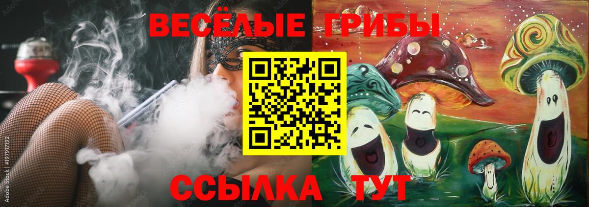 Галлюциногенные грибы Cubensis Калининград